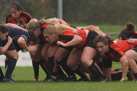 Scotland end the year on a high